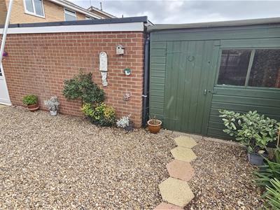 Picture 23